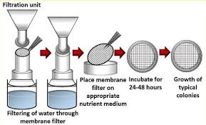 Water Testing Process